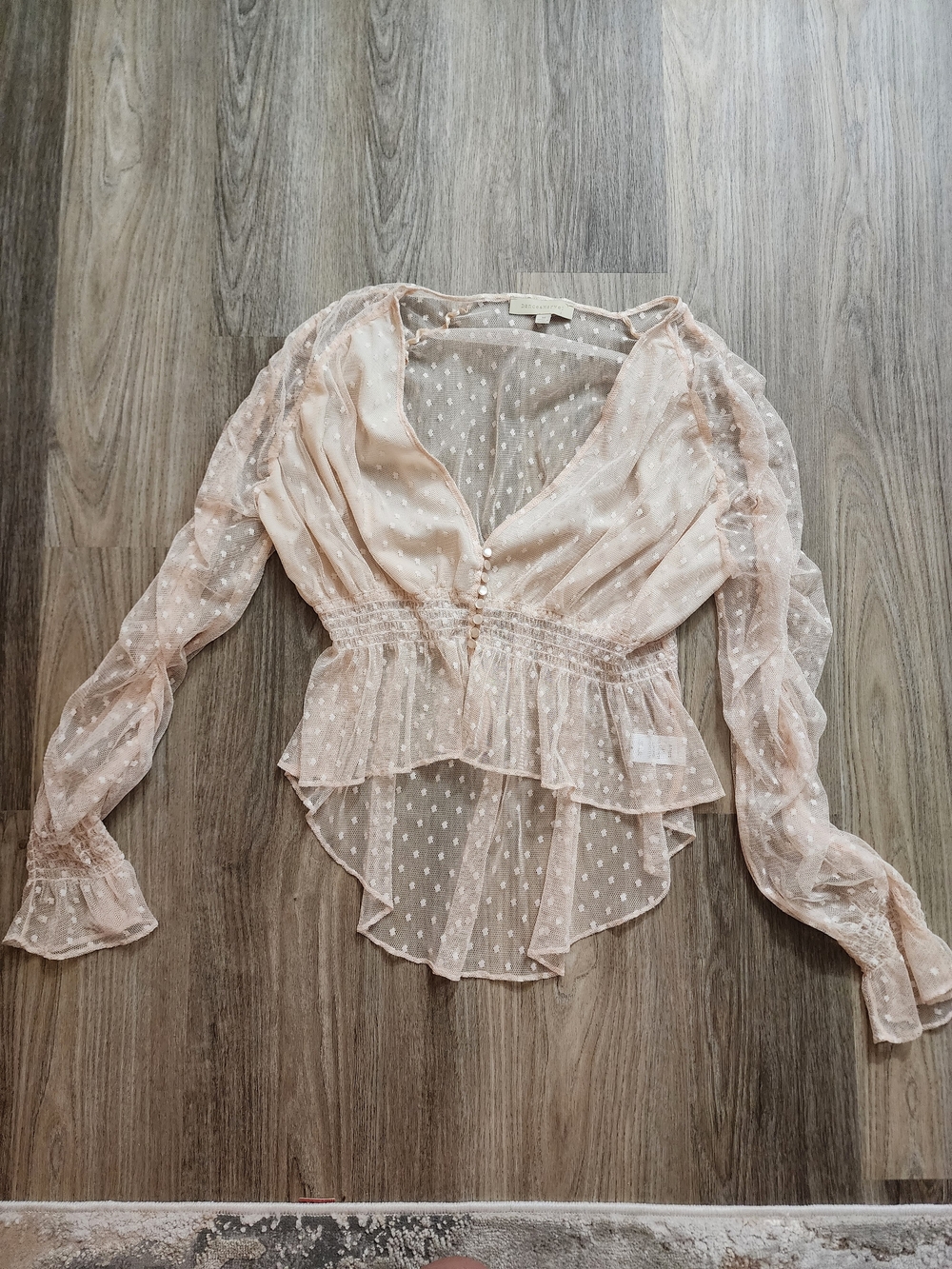 Dance & Marvel Sheer Peplum Blouse in Blush Pink